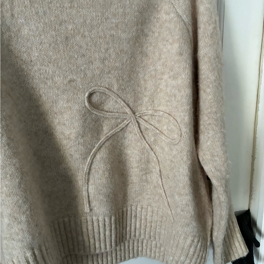 Terra & Sky Soft Beige Crew Neck Sweater - Picture 5 of 6